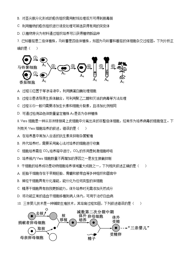 2024武汉重点中学5G联合体高二下学期期末联考生物试卷含解析03