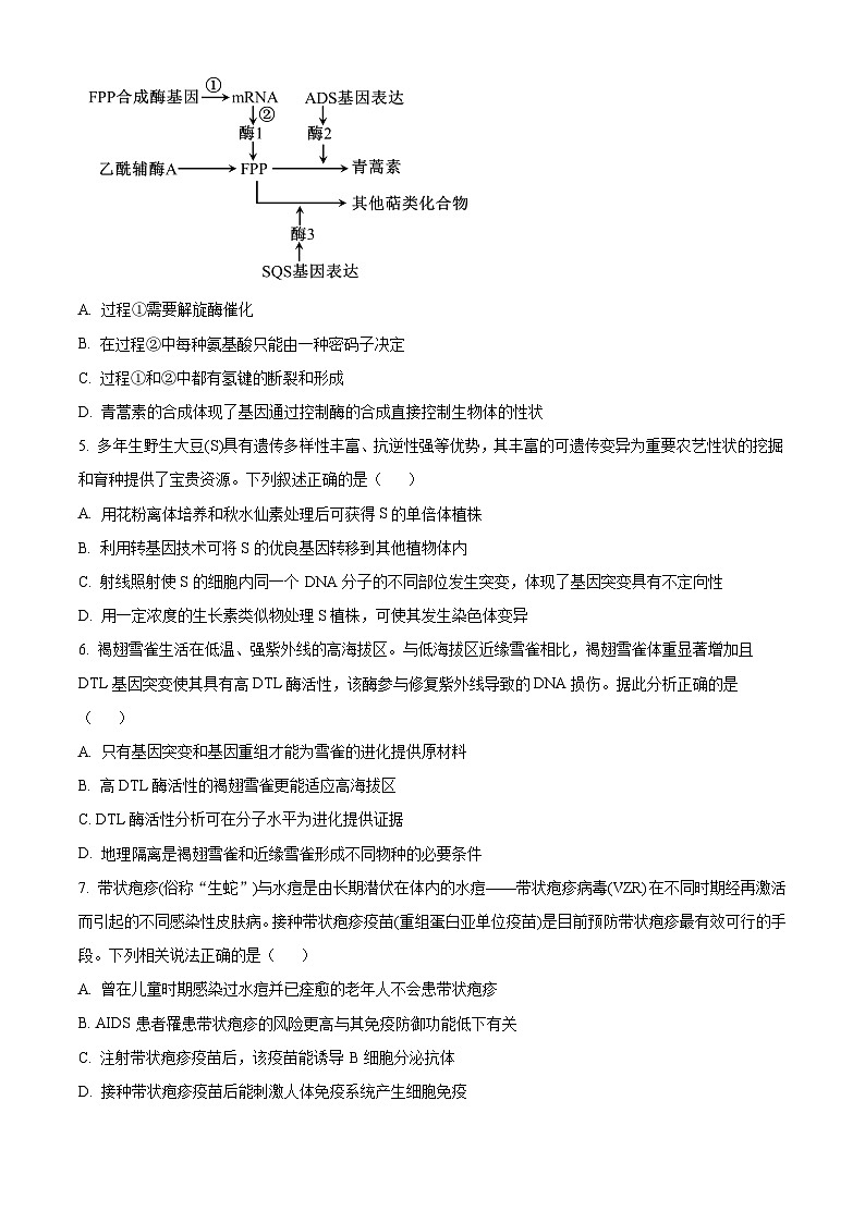 2024清远高二下学期7月期末考试生物含解析第2页