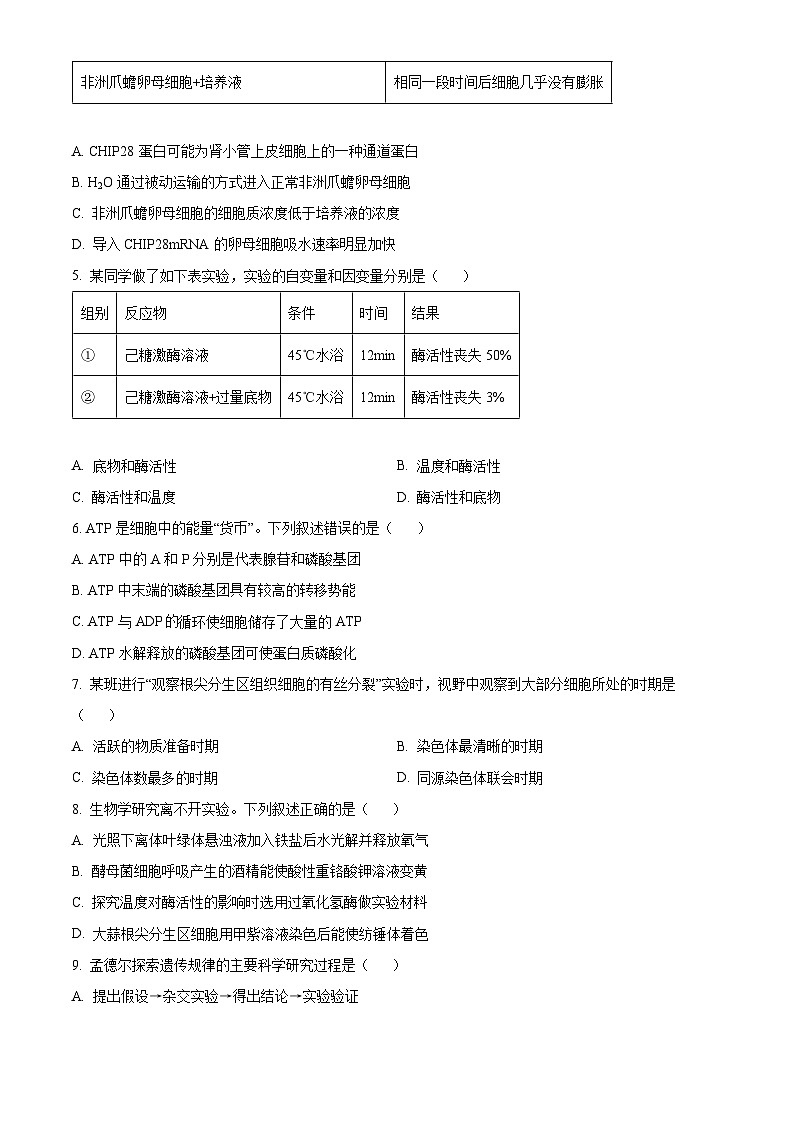 2024深圳高一下学期7月期末考试生物含解析02
