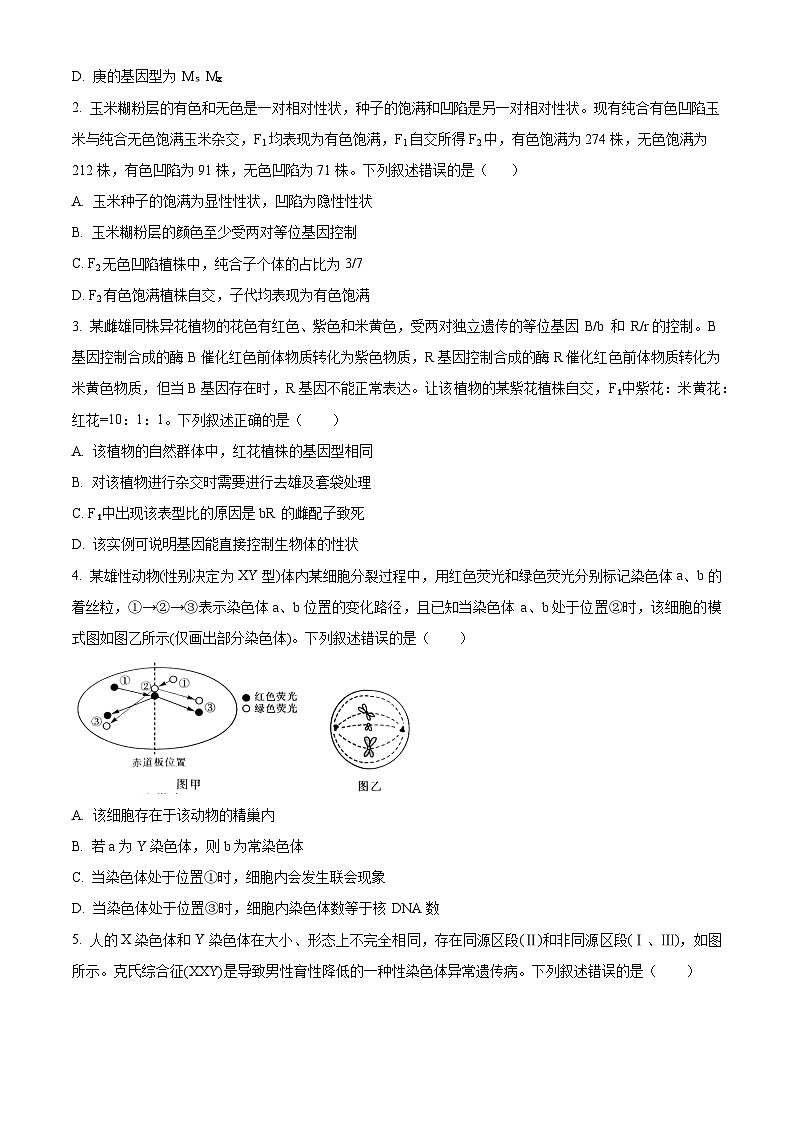 2024河南省新未来高一下学期7月期末考试生物含解析02