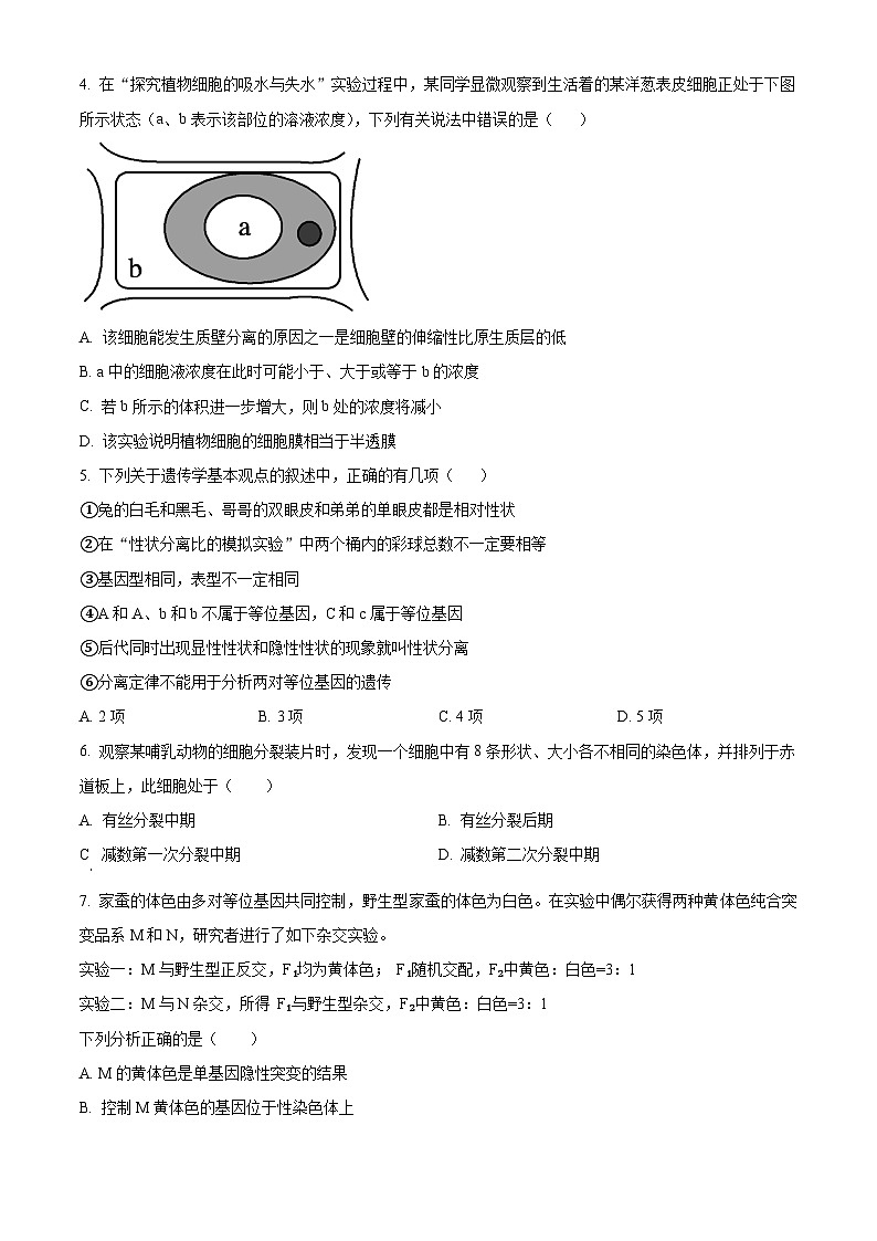 2024驻马店高一下学期7月期末考试生物含解析02