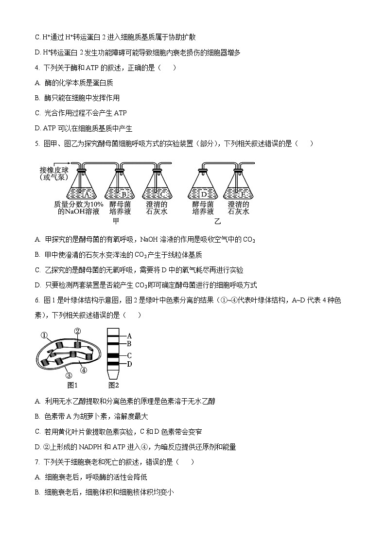 2024普洱高一下学期7月期末考试生物含解析第2页