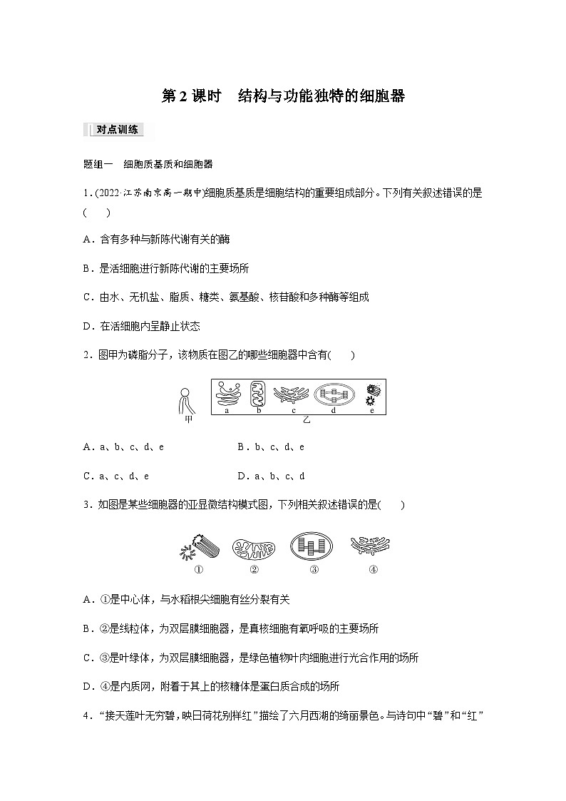 第2章 第2节 第2课时　结构与功能独特的细胞器  课时练（含答案）高中生物必修1（苏教版2019）01