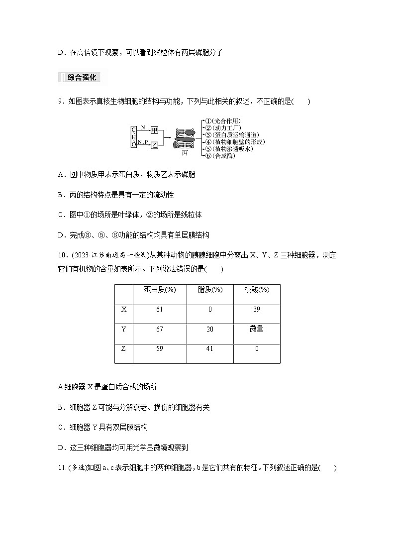 第2章 第2节 第2课时　结构与功能独特的细胞器  课时练（含答案）高中生物必修1（苏教版2019）03