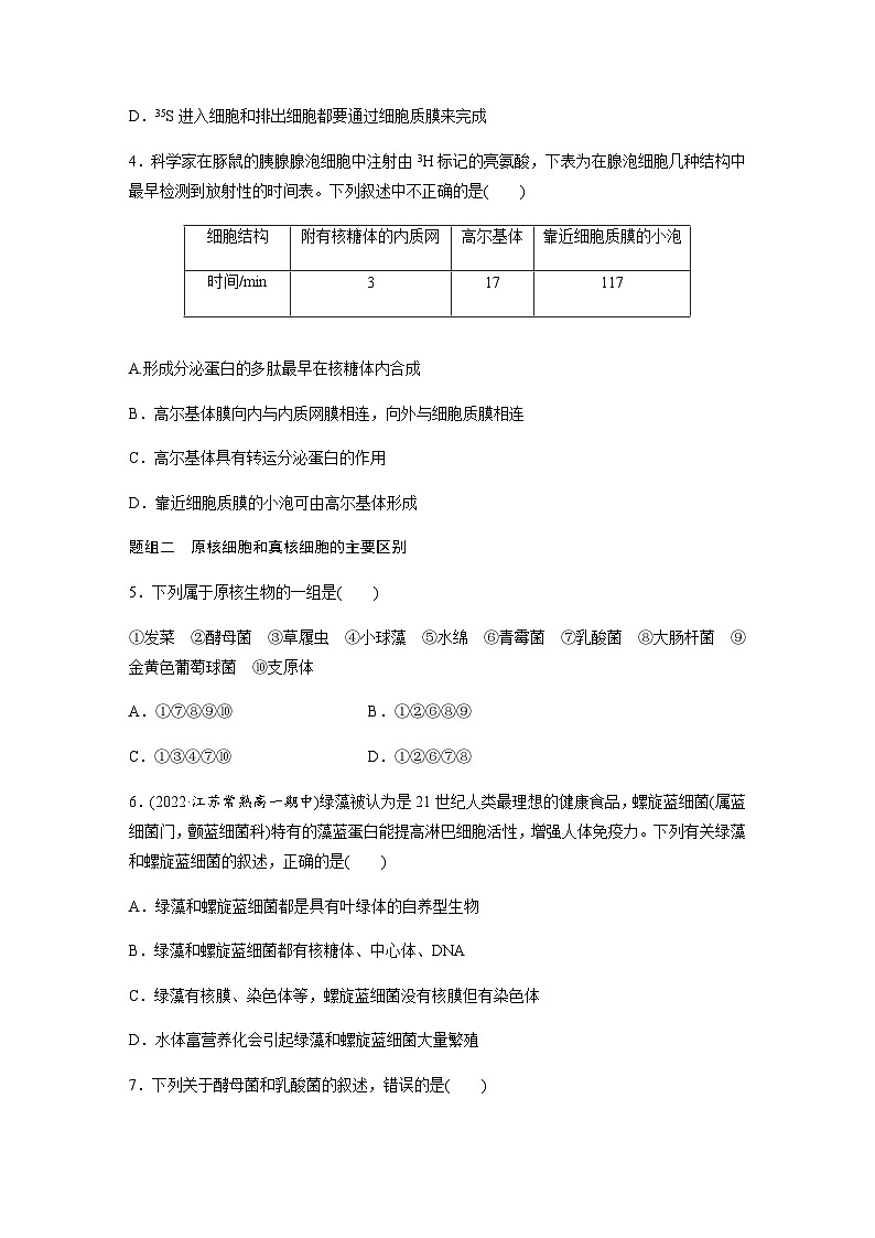 第2章 第2节 第4课时　细胞各部分结构分工合作及原核细胞和真核细胞的主要区别  课时练（含答案）高中生物必修1（苏教版2019）第2页