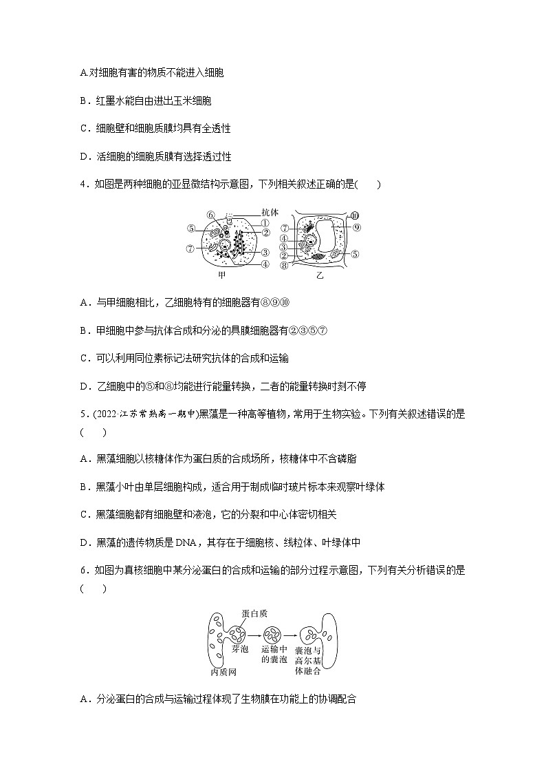 第2章　细胞的结构和生命活动   章末检测试卷(二) （含答案）高中生物必修1（苏教版2019）第2页