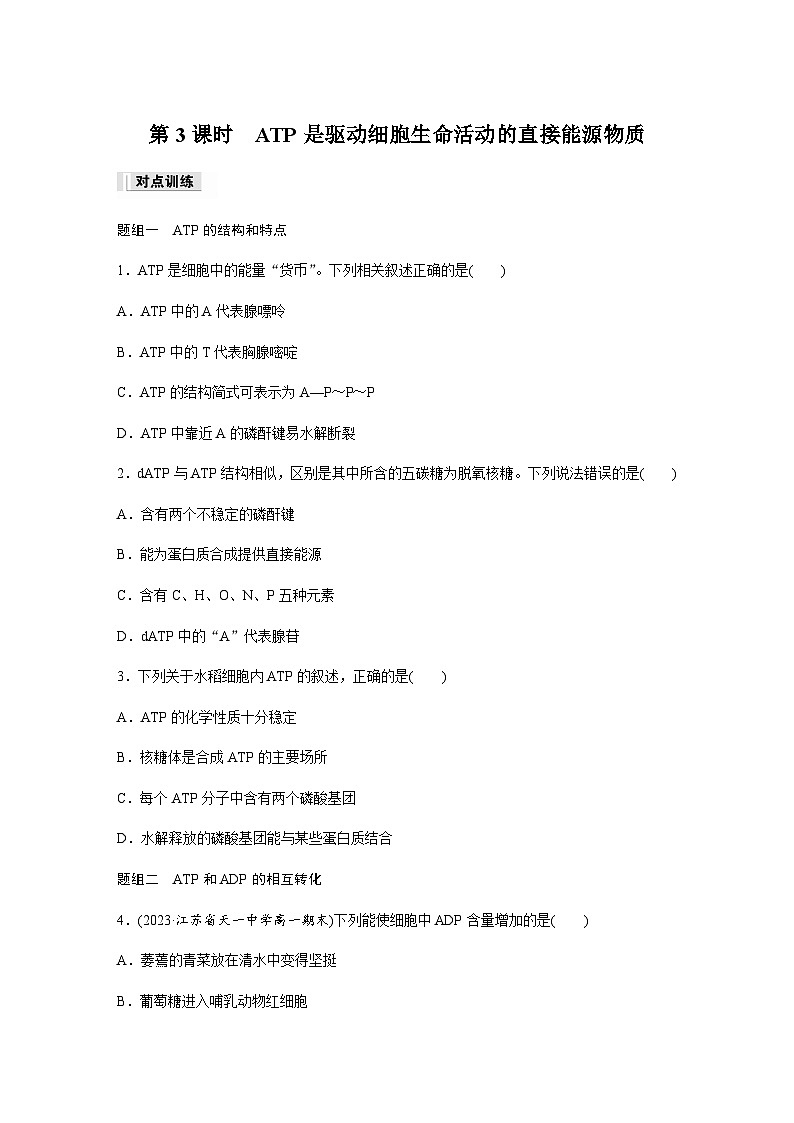 第3章 第1节 第3课时　ATP是驱动细胞生命活动的直接能源物质  课时练（含答案）高中生物必修1（苏教版2019）第1页