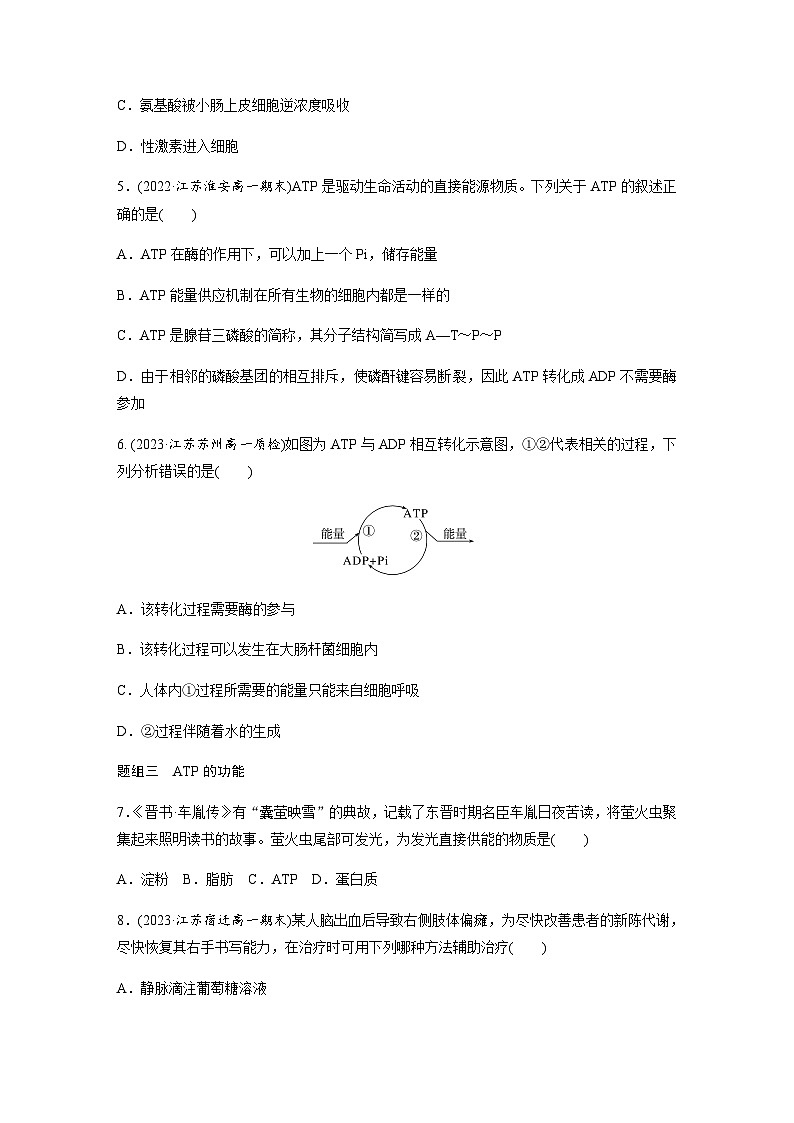 第3章 第1节 第3课时　ATP是驱动细胞生命活动的直接能源物质  课时练（含答案）高中生物必修1（苏教版2019）第2页