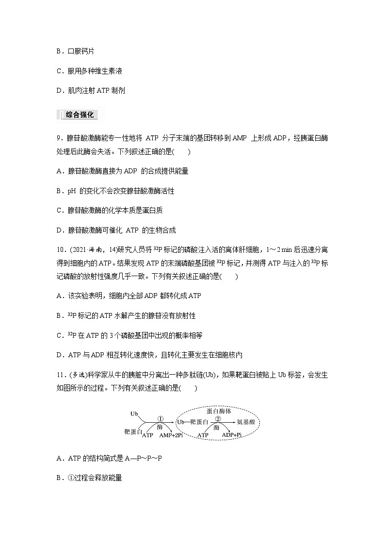 第3章 第1节 第3课时　ATP是驱动细胞生命活动的直接能源物质  课时练（含答案）高中生物必修1（苏教版2019）第3页