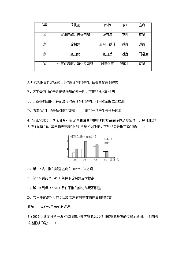 第3章　细胞中能量的转换和利用  重点突破练(三) （含答案）高中生物必修1（苏教版2019）02