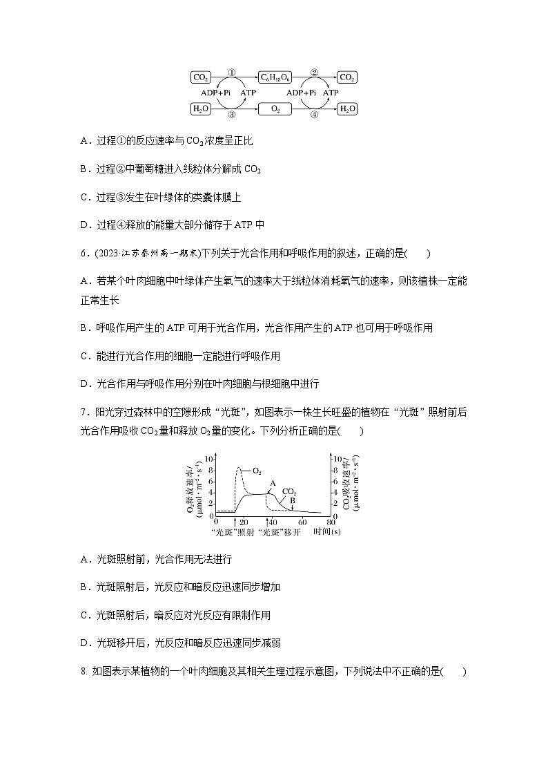 第3章　细胞中能量的转换和利用  重点突破练(三) （含答案）高中生物必修1（苏教版2019）03