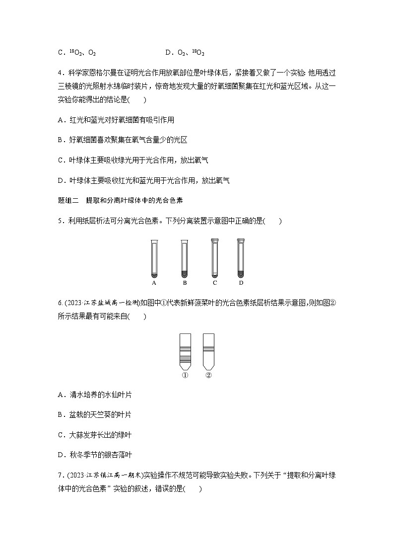 第3章 第2节 第1课时　光合作用的认识过程与光合色素  课时练（含答案）高中生物必修1（苏教版2019）第2页