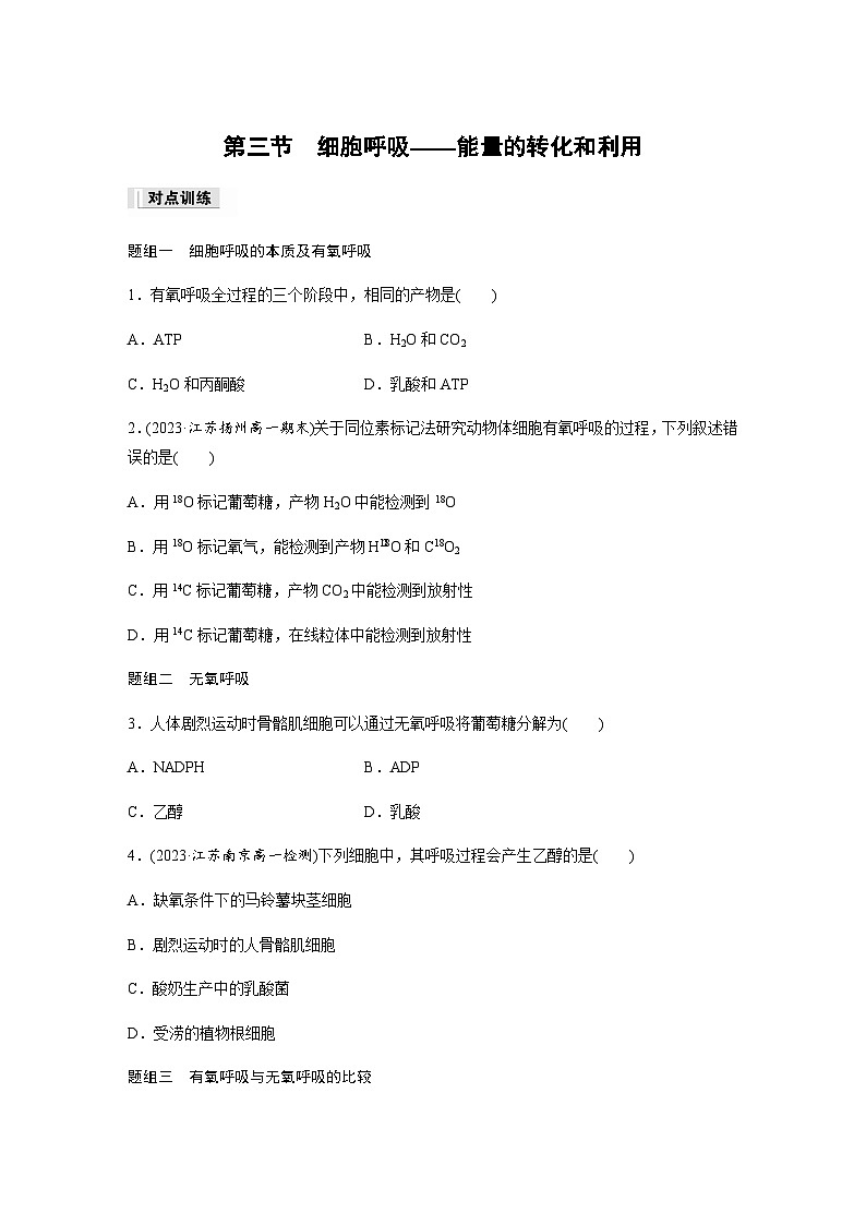 第3章 第3节 细胞呼吸——能量的转化和利用  课时练（含答案）高中生物必修1（苏教版2019）第1页