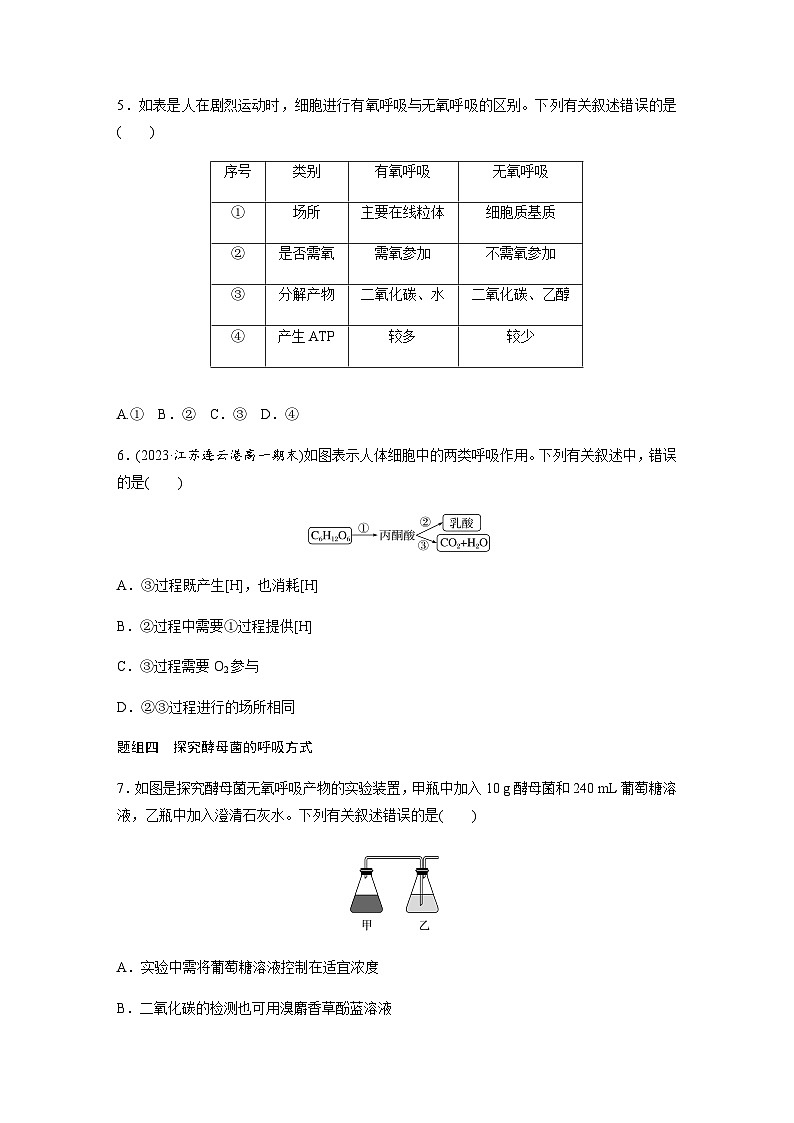 第3章 第3节 细胞呼吸——能量的转化和利用  课时练（含答案）高中生物必修1（苏教版2019）第2页