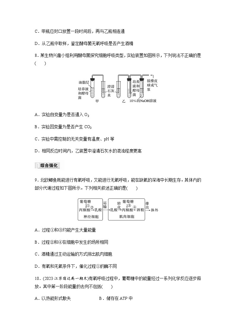 第3章 第3节 细胞呼吸——能量的转化和利用  课时练（含答案）高中生物必修1（苏教版2019）第3页