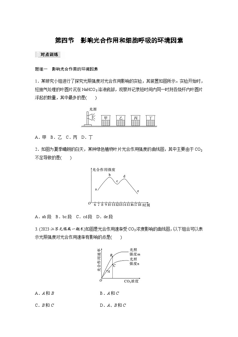 第3章 第4节 影响光合作用和细胞呼吸的环境因素  课时练（含答案）高中生物必修1（苏教版2019）01