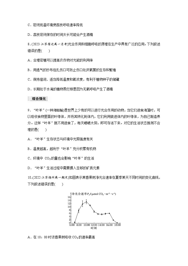 第3章 第4节 影响光合作用和细胞呼吸的环境因素  课时练（含答案）高中生物必修1（苏教版2019）03