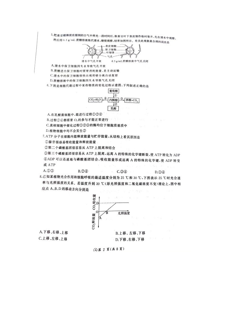 河北省石家庄市赵县赵县中学、高邑一中2023-2024学年高二下学期7月期末生物试题02
