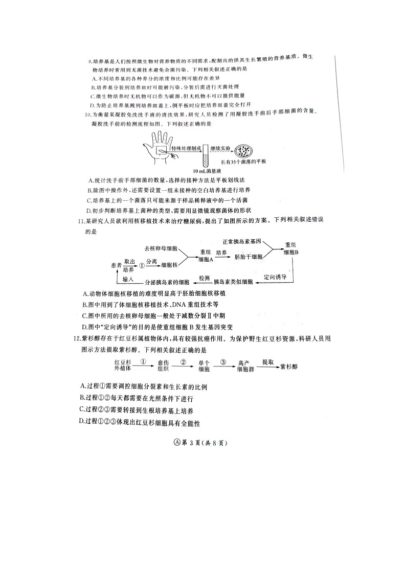 河北省石家庄市赵县赵县中学、高邑一中2023-2024学年高二下学期7月期末生物试题03