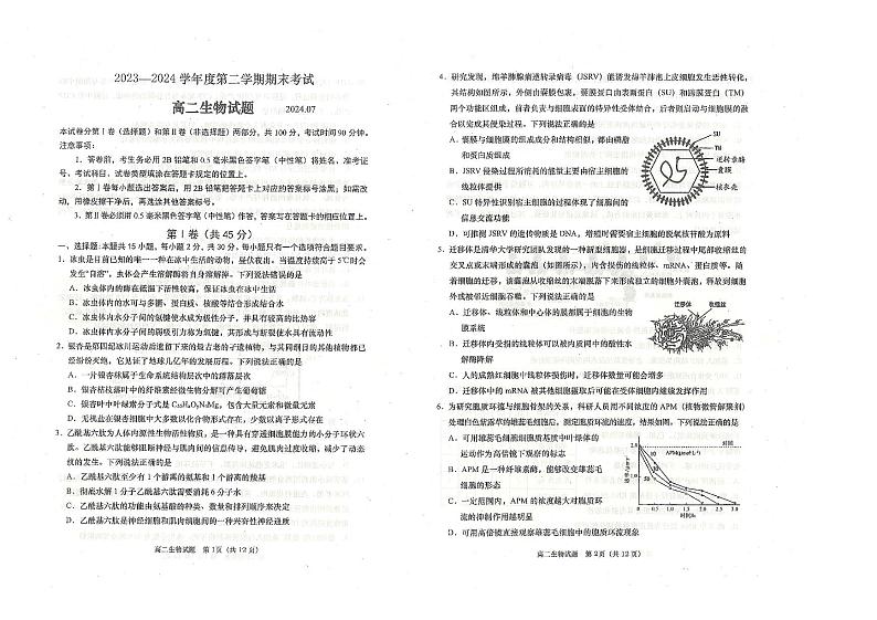山东省青岛市城阳区青岛市城阳第三高级中学2023-2024学年高二下学期期末生物试题01