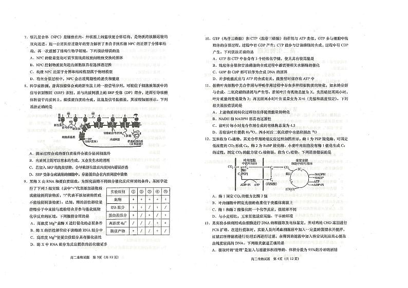 山东省青岛市城阳区青岛市城阳第三高级中学2023-2024学年高二下学期期末生物试题02