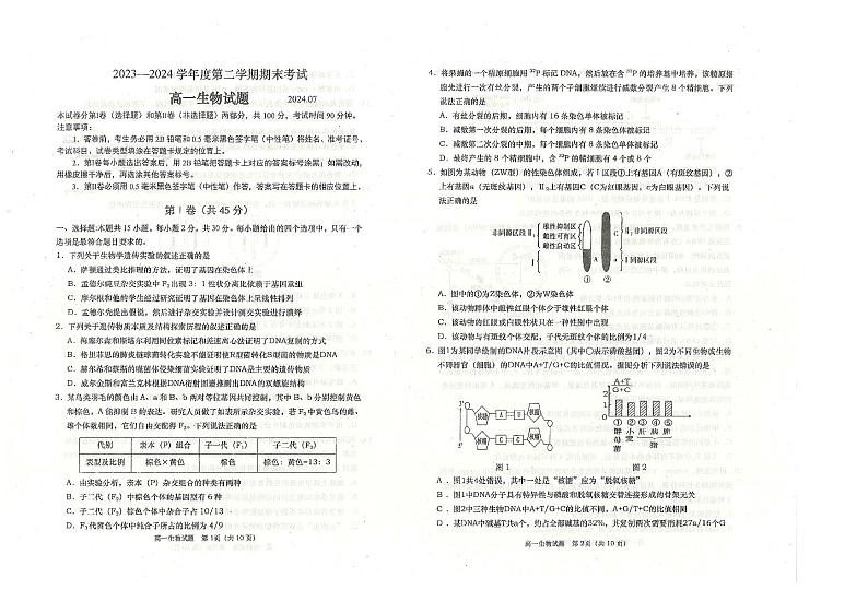 山东省青岛市城阳区青岛市城阳第二高级中学2023-2024学年高一下学期期末生物试题第1页