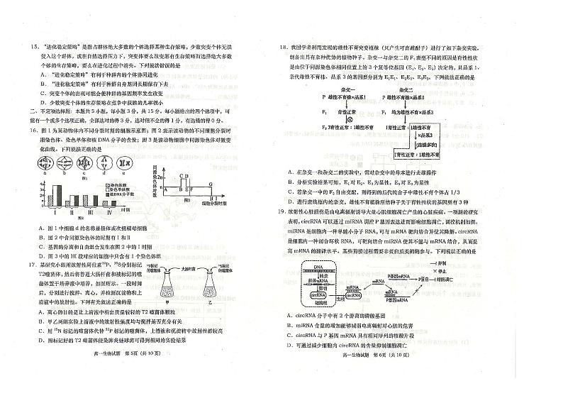 山东省青岛市城阳区青岛市城阳第二高级中学2023-2024学年高一下学期期末生物试题第3页