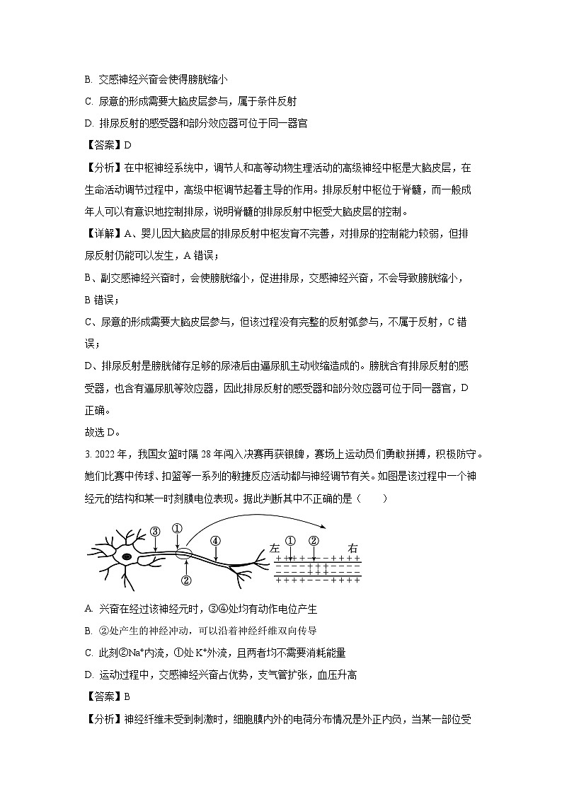 [生物][期末]安徽省芜湖市2023-2024学年高二下学期期末考试试题(解析版)第2页