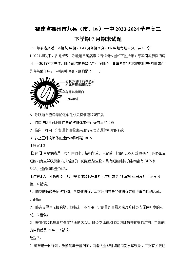 [生物][期末]福建省福州市九县(市、区)一中2023-2024学年高二下学期7月期末试题(解析版)第1页