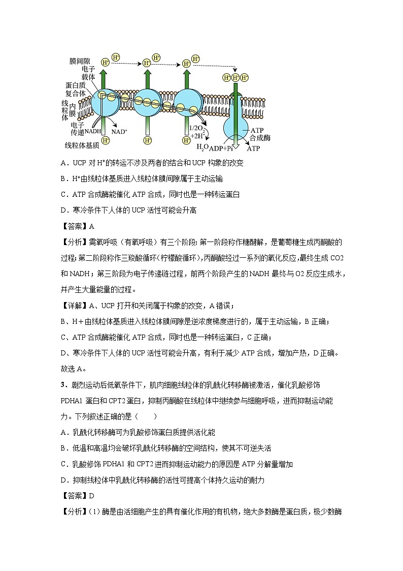 [生物]2024年高考生物临考满分模拟卷(海南卷)04(解析版)02