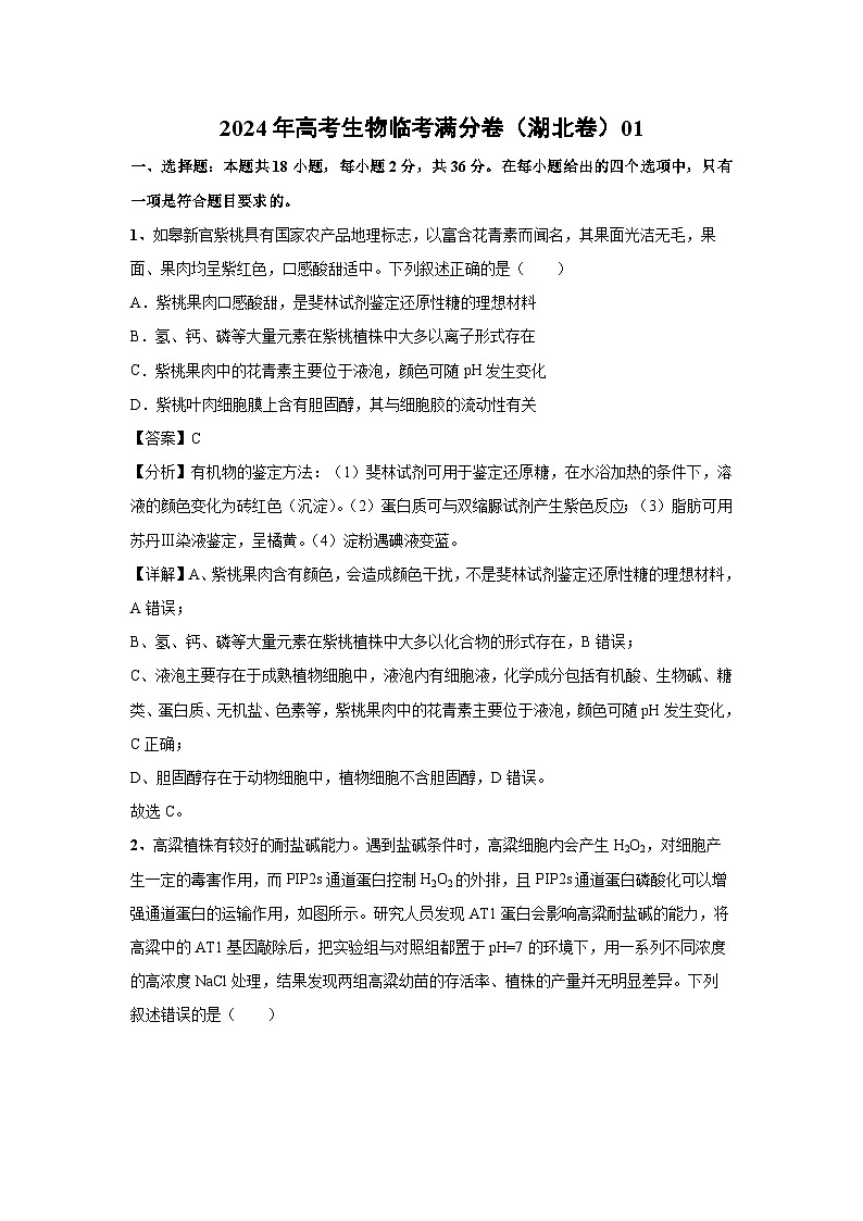[生物]2024年高考生物临考满分模拟卷(湖北卷)01(解析版)第1页