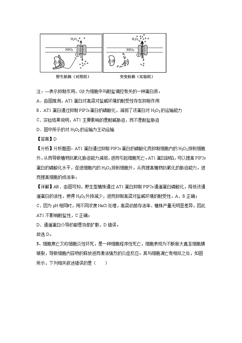 [生物]2024年高考生物临考满分模拟卷(湖北卷)01(解析版)第2页