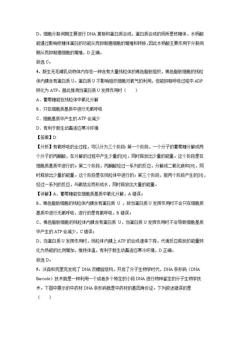 [生物]2024年高考生物临考满分模拟卷(湖北卷)02(解析版)第3页