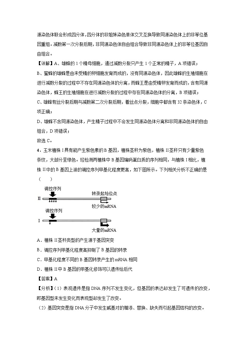 [生物]2024年高考生物临考满分模拟卷(天津卷)02(解析版)第3页