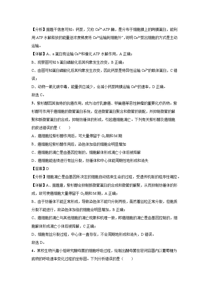 [生物]2024年高考生物临考满分模拟卷(湖北卷)04(解析版)第2页