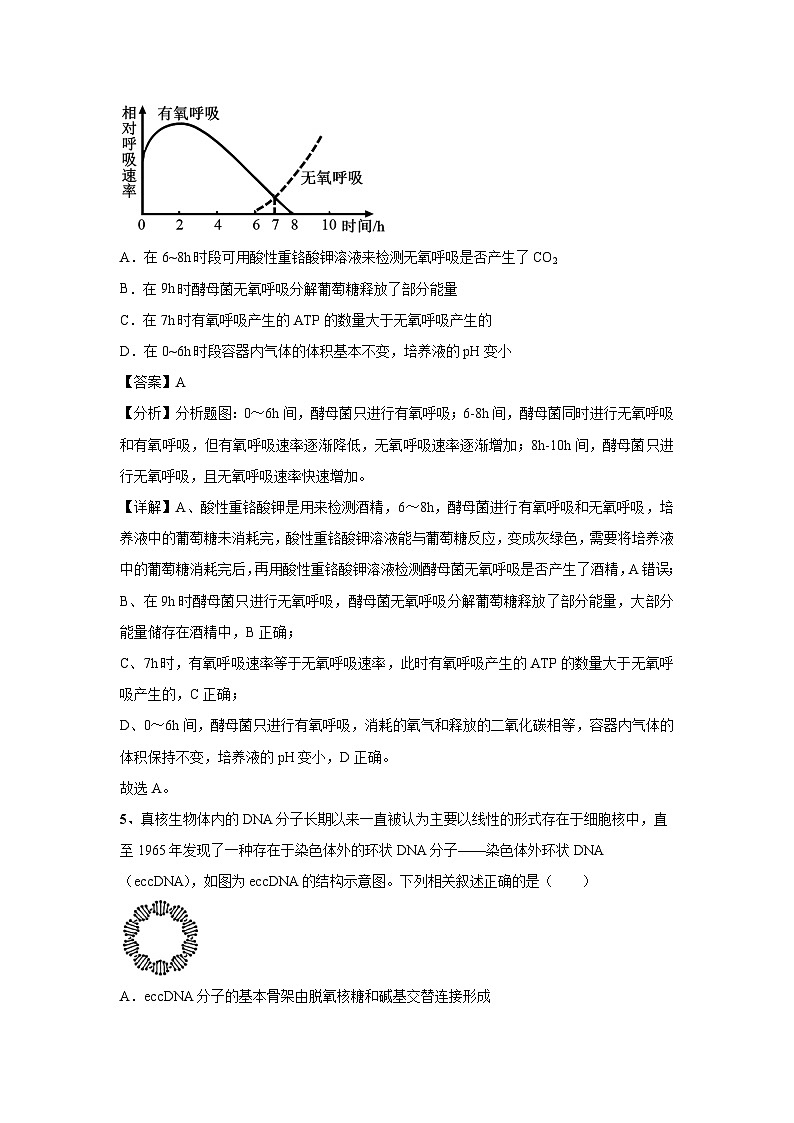 [生物]2024年高考生物临考满分模拟卷(湖北卷)04(解析版)第3页