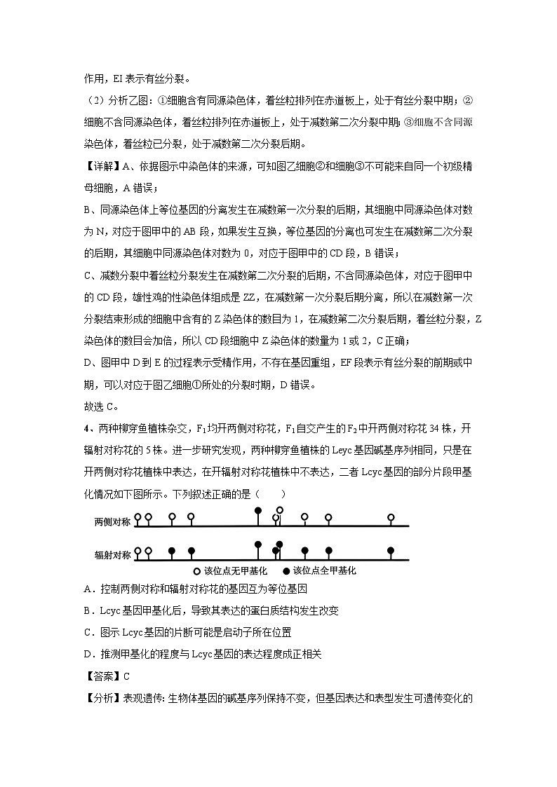 [生物]2024年高考生物临考满分模拟卷(天津卷)04(解析版)第3页