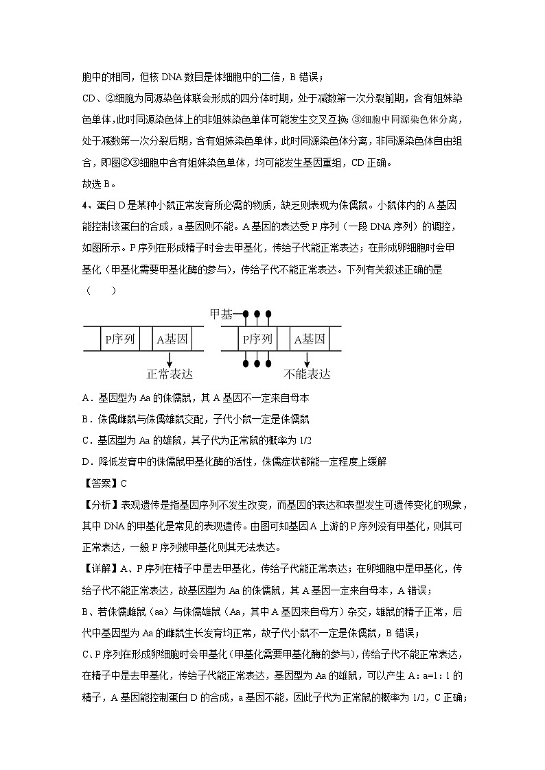 [生物]2024年高考生物临考满分模拟卷(天津卷)05(解析版)第3页