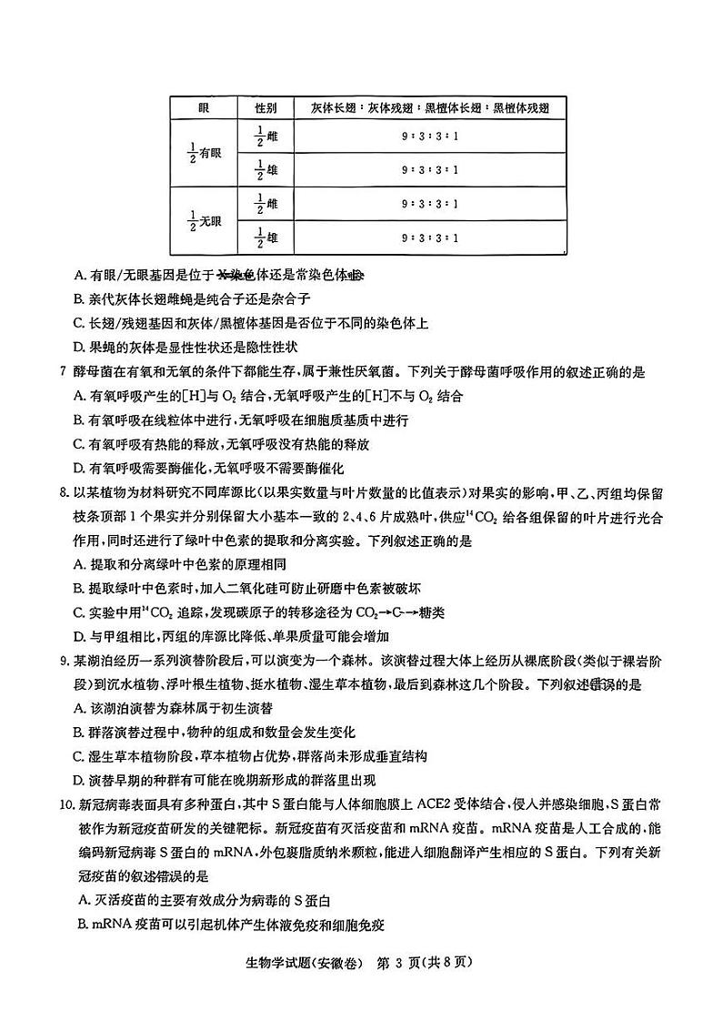 华大新高考联盟2024届高三4月教学质量测评生物【含答案】第3页