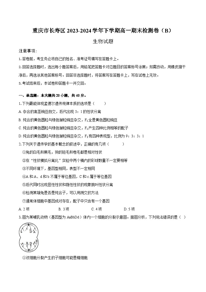 2024重庆长寿区七校联盟高一下学期7月期末考试生物（B卷）含答案第1页