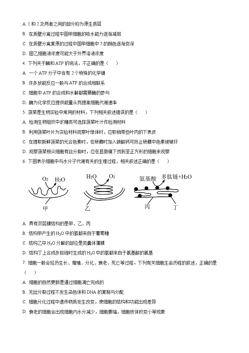 2024来宾玉林高一下学期7月期末考试生物含解析02