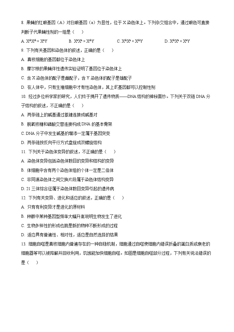 2024来宾玉林高一下学期7月期末考试生物含解析03