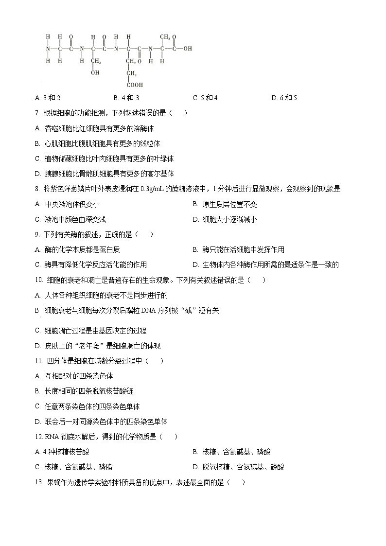 2024玉溪高一下学期7月期末考试生物含解析02