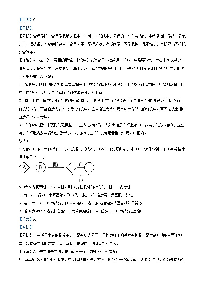 精品解析：四川省内江市2025届高三上学期入学零模考试生物试卷（解析版）第2页