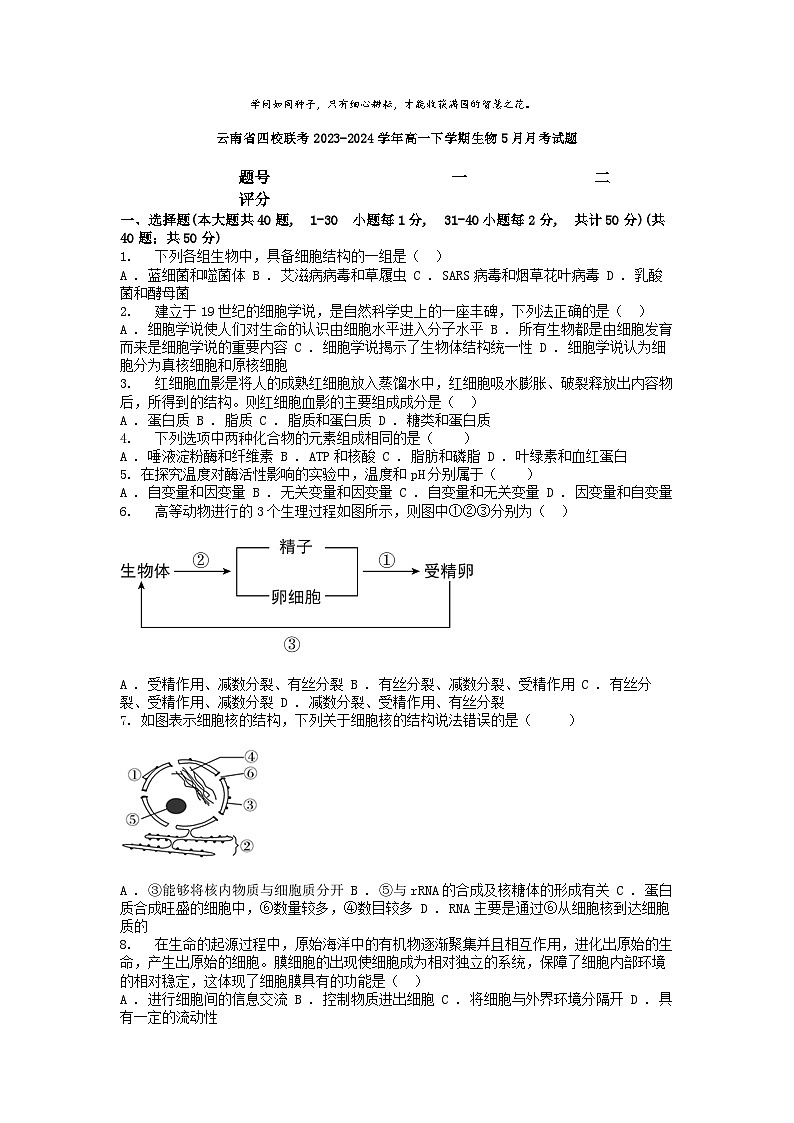 [生物]云南省四校联考2023-2024学年高一下学期生物5月月考试题01