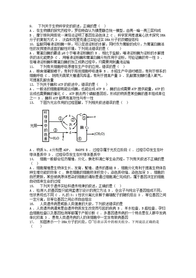 [生物]云南省四校联考2023-2024学年高一下学期生物5月月考试题02