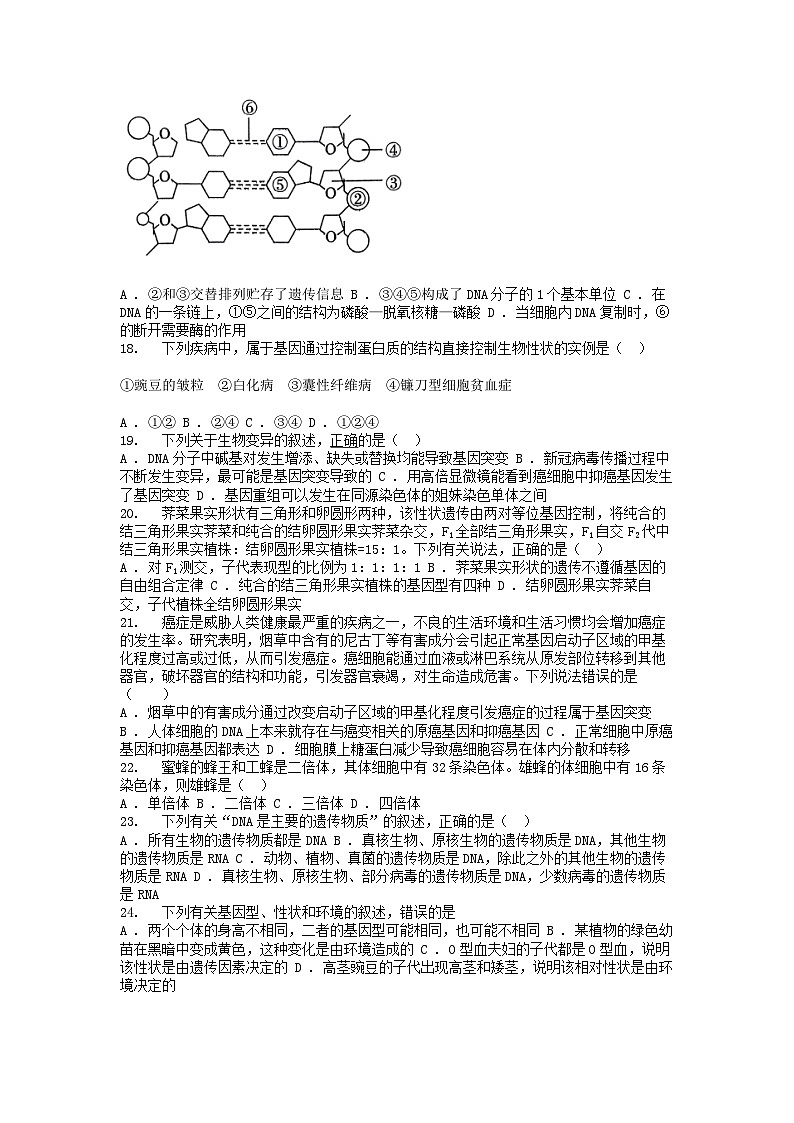 [生物]云南省四校联考2023-2024学年高一下学期生物5月月考试题03