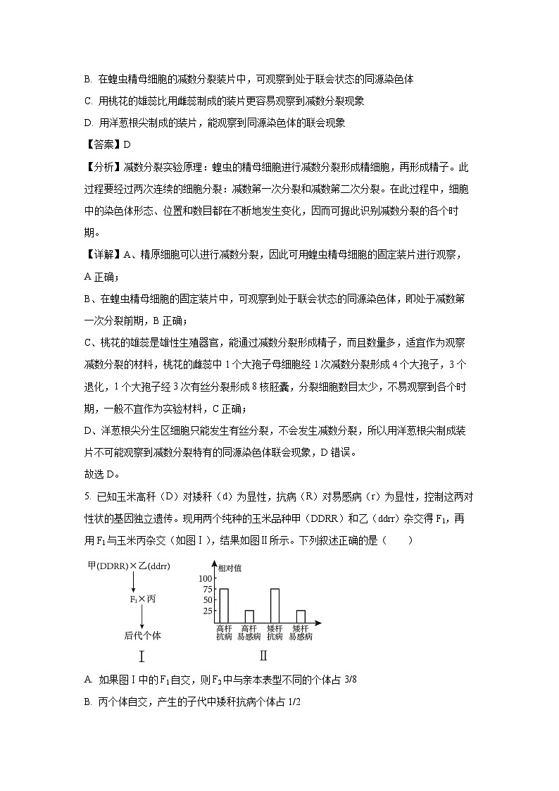 [生物]福建省漳州市龙文区漳州实验中学2023-2024学年高一下学期3月质量检测(解析版)03