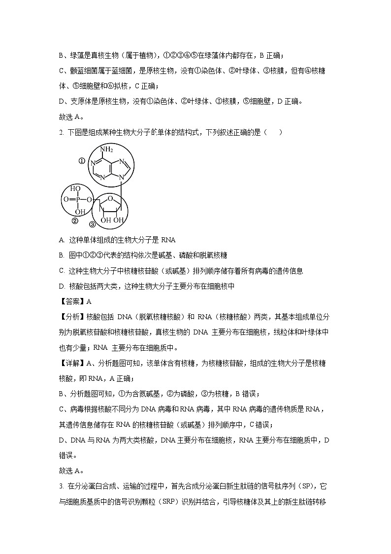 [生物][期末]黑龙江省齐齐哈尔市2023-2024学年高一下学期期末试卷(解析版)02