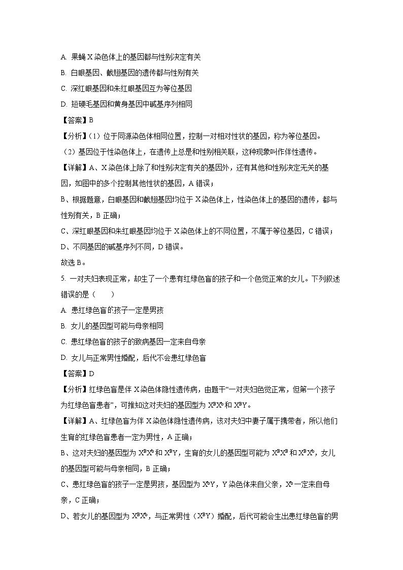 [生物][期末]黑龙江省鸡西市2023-2024学年高一下学期期末质量监测考试试卷(解析版)03